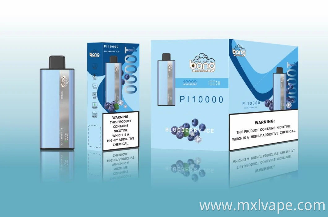 Wholesale Alibaba Bang Pi 10000 Puff Disposable E Cigarettes Vape 0.8ohm Mesh Coil 15ml Pod Electric Shisha Price Electronic CIGS Puffs 9000 0% 2% 3% 5%